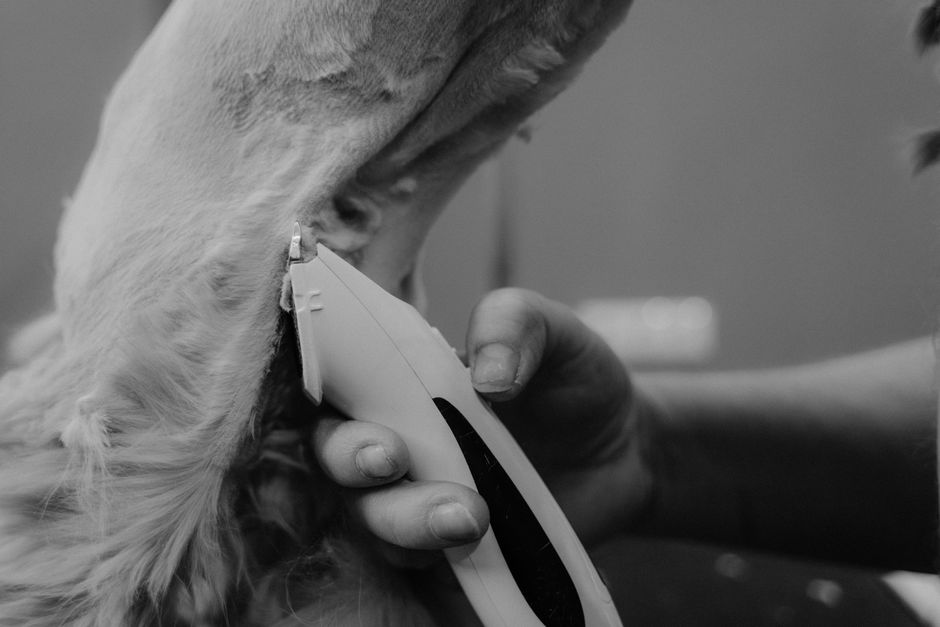 how laser hair removal works - laser hair removal san antonio