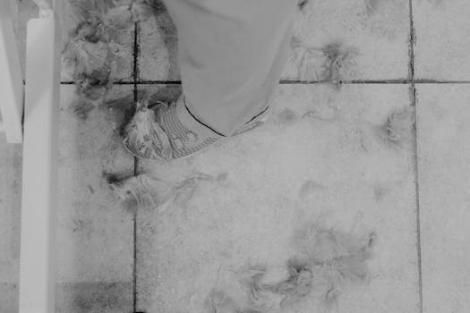 A shoe and fur clumps on a tiled floor, capturing a post hair trim setting.