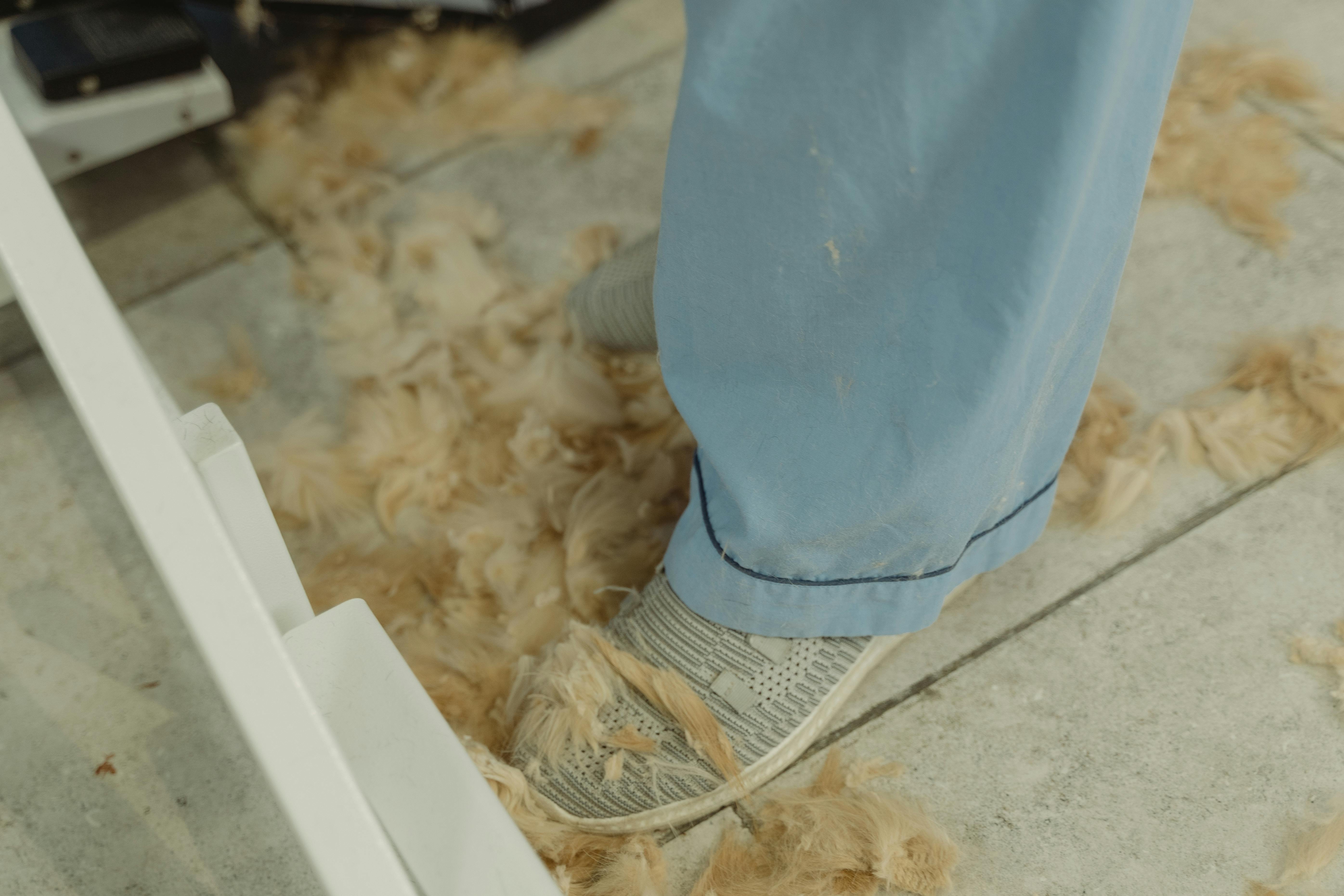 person in blue denim jeans and brown shoes