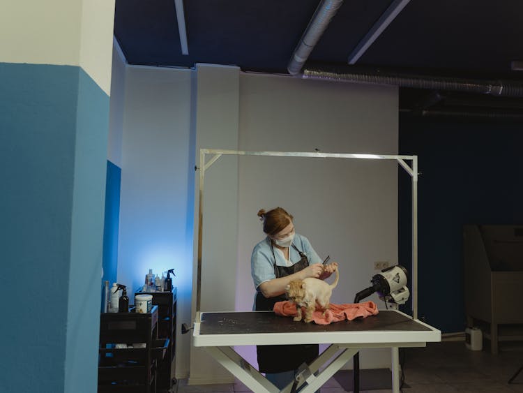 Woman Wearing Facial Mask And Black Apron Grooming A Dog On A Table