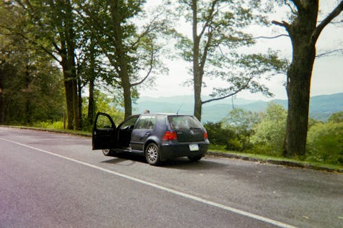 Car Parked at Road near Trees