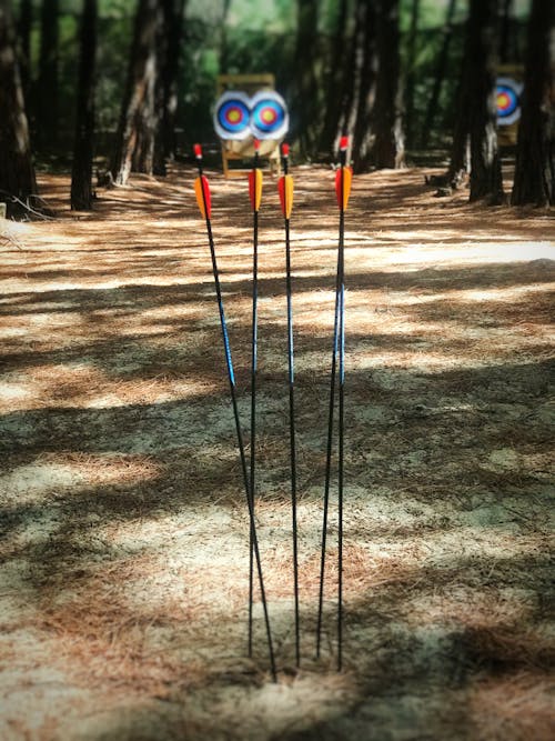 Foto profissional grátis de alvo, arco e flecha, flechas