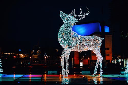 Lighted Christmas Light in Deer Shape Structure