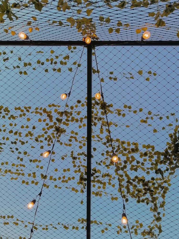 Lights On Mesh Fence