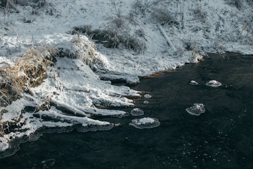 Ingyenes stockfotó folyópart, havas, hideg témában Stockfotó
