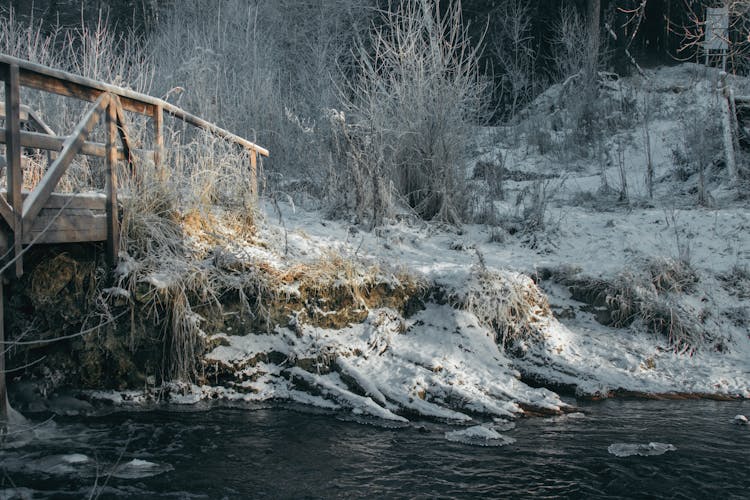 Wooden Bridge Over Lake In Winter Forest