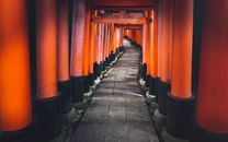 Gray Concrete Pathway Between Orange and Black Posts