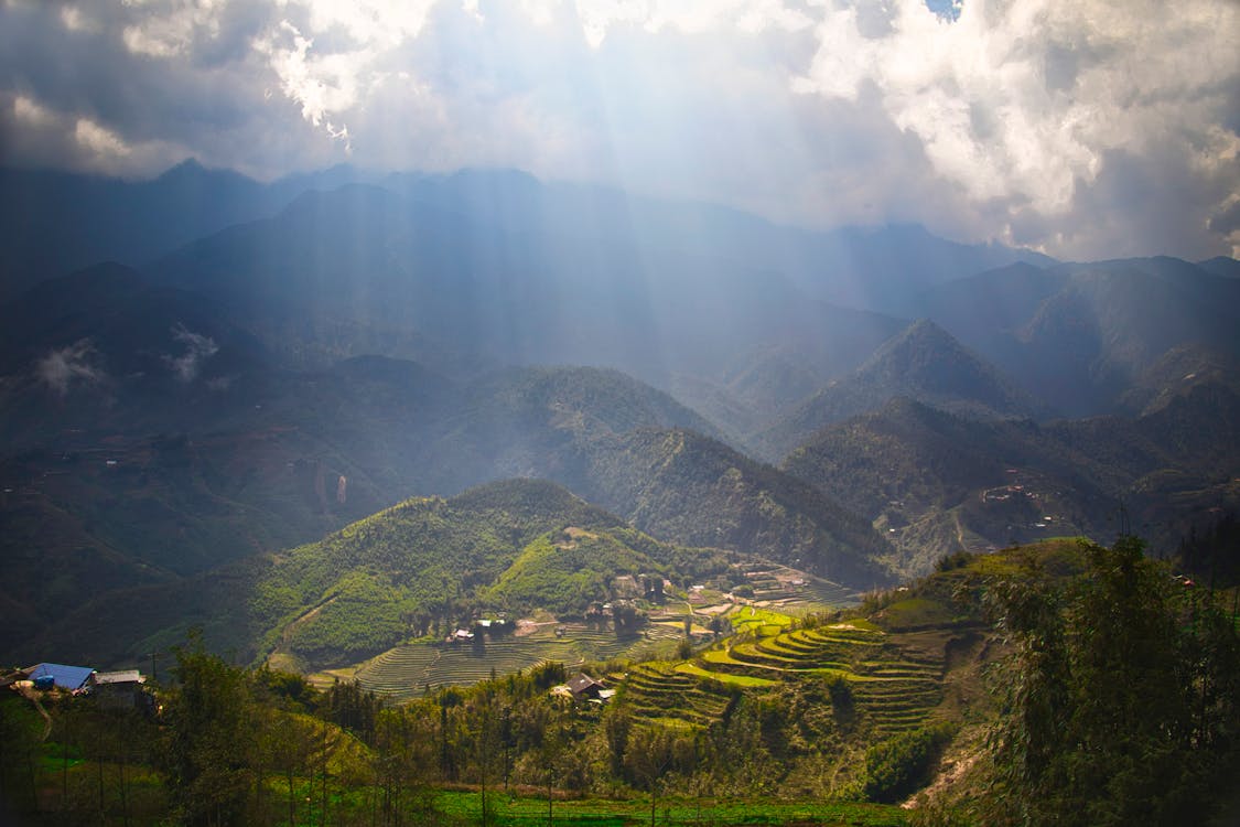 Free Sun over Green Rice Plantations Stock Photo