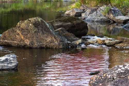 Free stock photo of calm waters