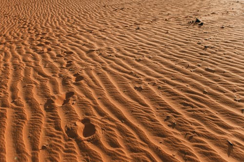 Free Top View of a Sand With Footprints Stock Photo