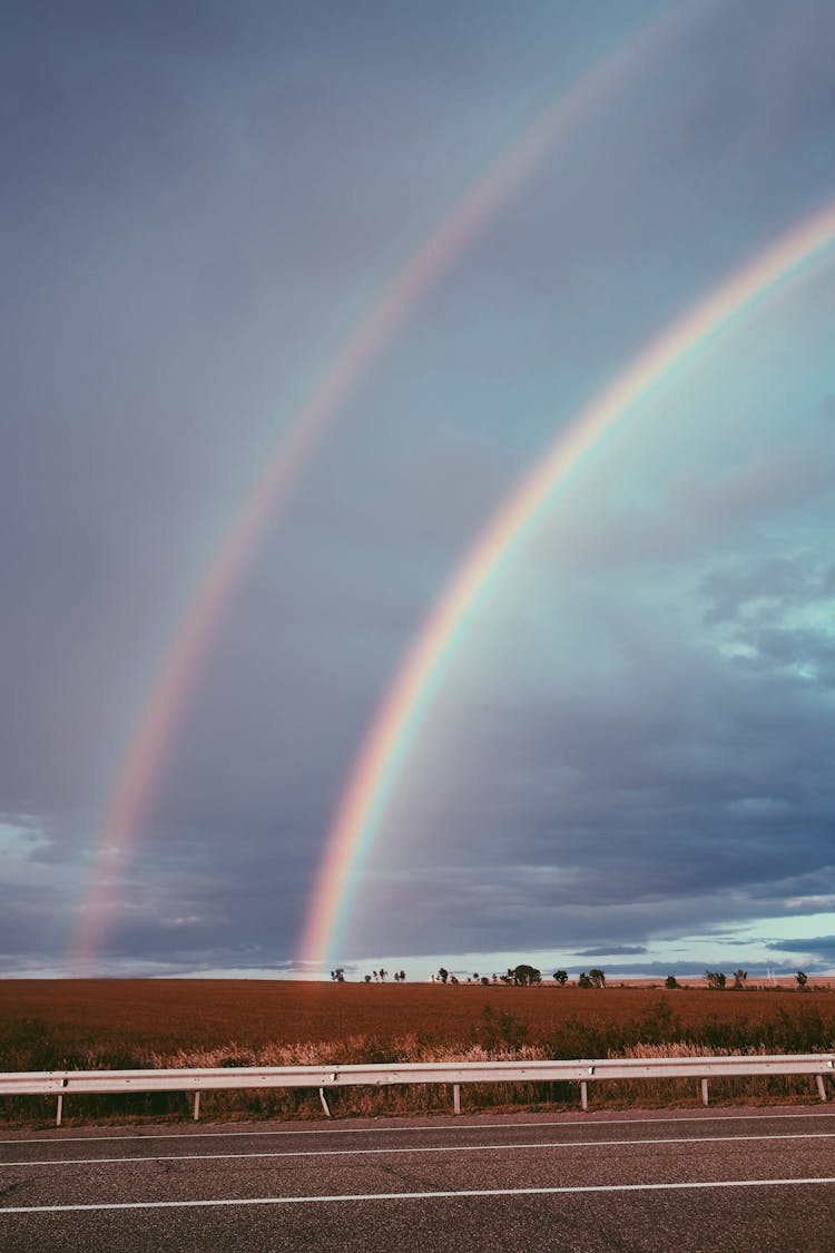 Rainbows In The Sky