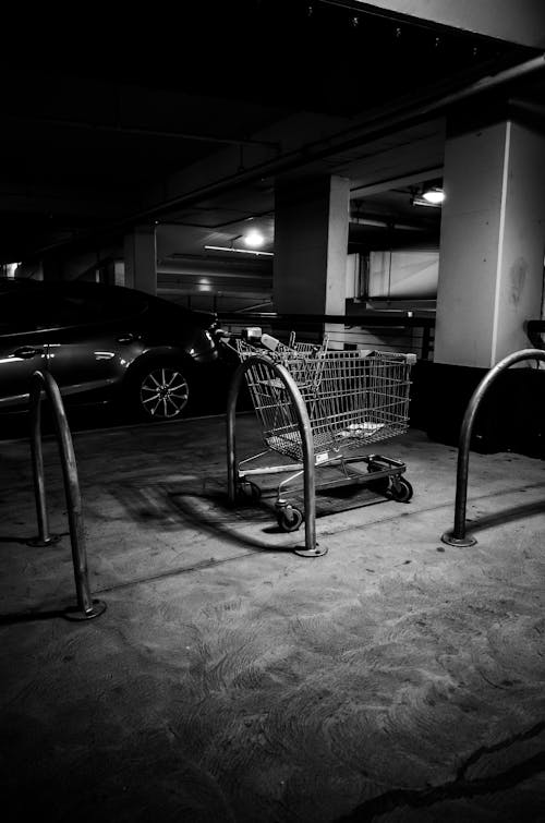 Free A Grayscale Photo of Shopping Cart  Stock Photo