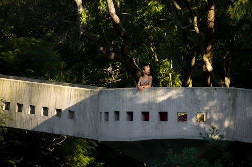 Fotobanka s bezplatnými fotkami na tému betónový mostík, exteriéry, kmene stromov