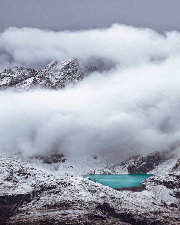 Tiele Photos, Download The BEST Free Tiele Stock Photos & HD Images