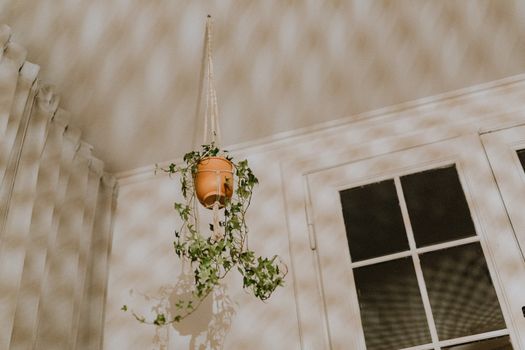 diy macrame plant hangers