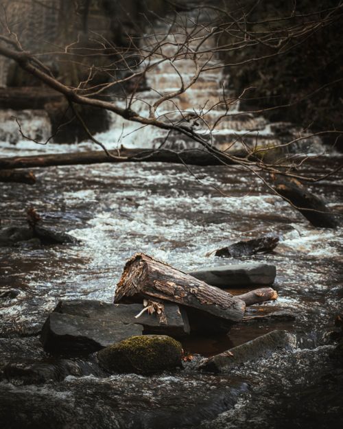 Free Tranquil creek in a forest setting with logs and cascading water, perfect for nature themes. Stock Photo