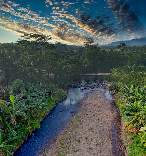 Picturesque clouds floating in sunset sky over narrow river surrounded by lush palm trees in tropical countryside