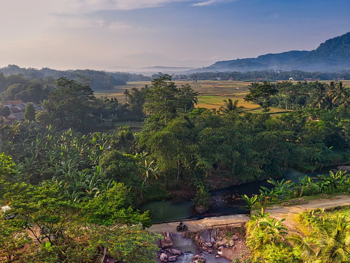 Tattva Ubud Retreat & Wellness 2