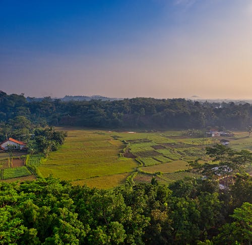 Foto profissional grátis de agricultura, aldeia, ao ar livre