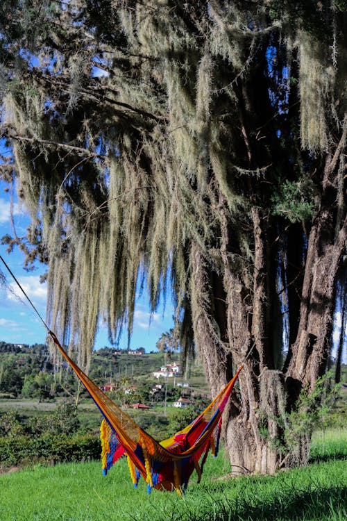 Foto d'estoc gratuïta de bonic capvespre, fotografia de paisatge, hamaca