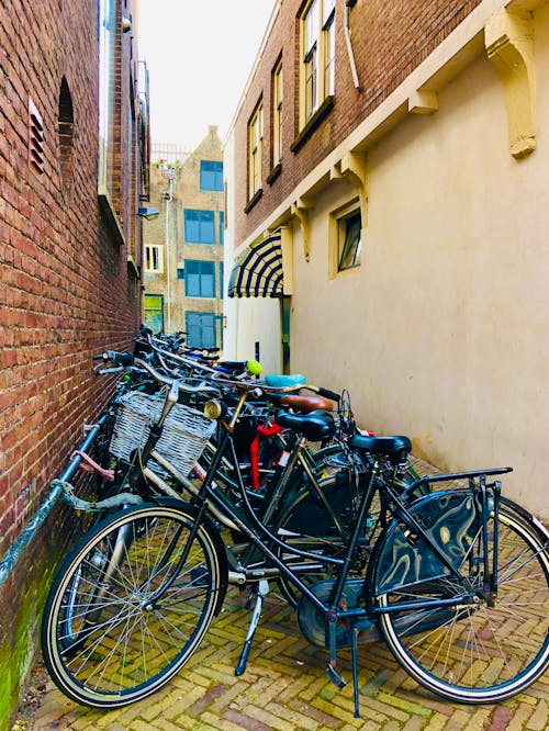 Free stock photo of bicycle, bike, dutch