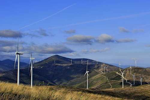 Free Photo of Wind Turbines Under a a Blue Sky Stock Photo