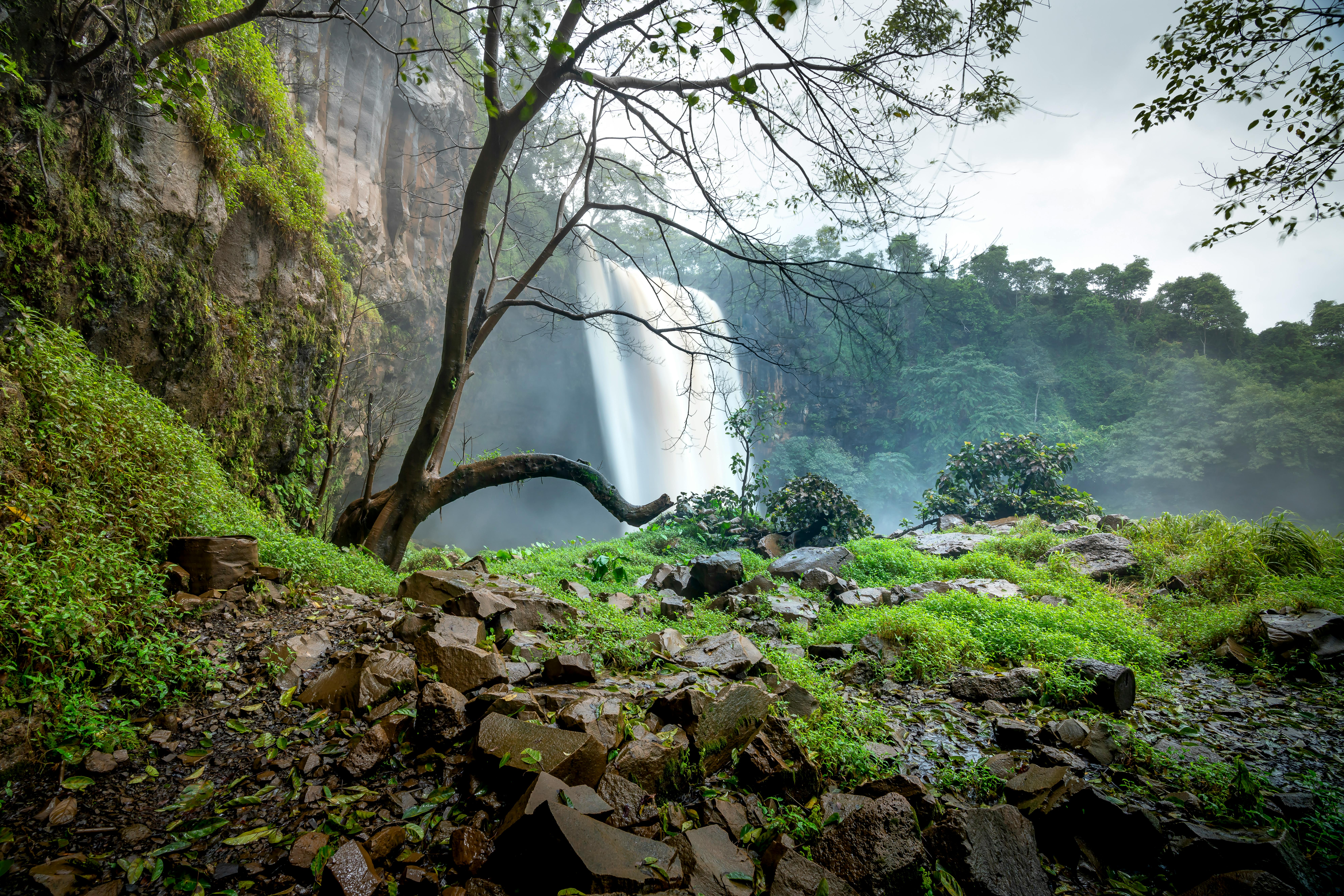 Is a week too fast to fall in love?