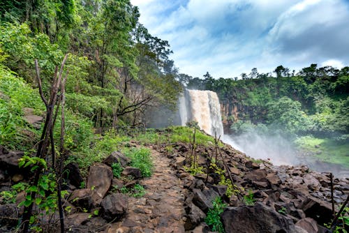 Fast cascade falling from rocky cliff in tropical dense forest with tall green trees against blue sky with clouds on sunny summer day