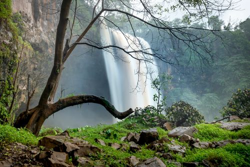 Free Powerful stream of water falling from rocky cliff in forest with tall green trees in wild nature on summer day Stock Photo