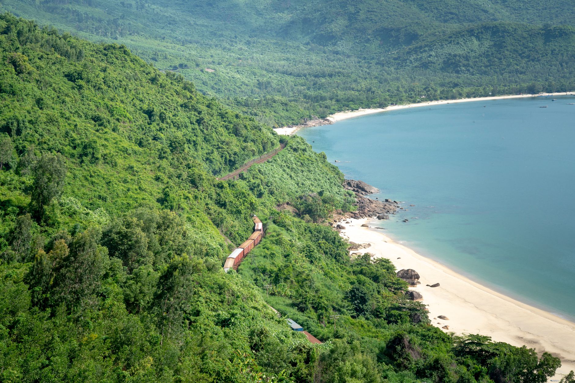 Dense forest with lush green trees growing on hilly area near sandy shore and calm sea in nature on summer day