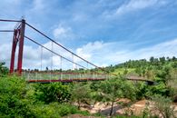 Suspension bridge over forest with stream