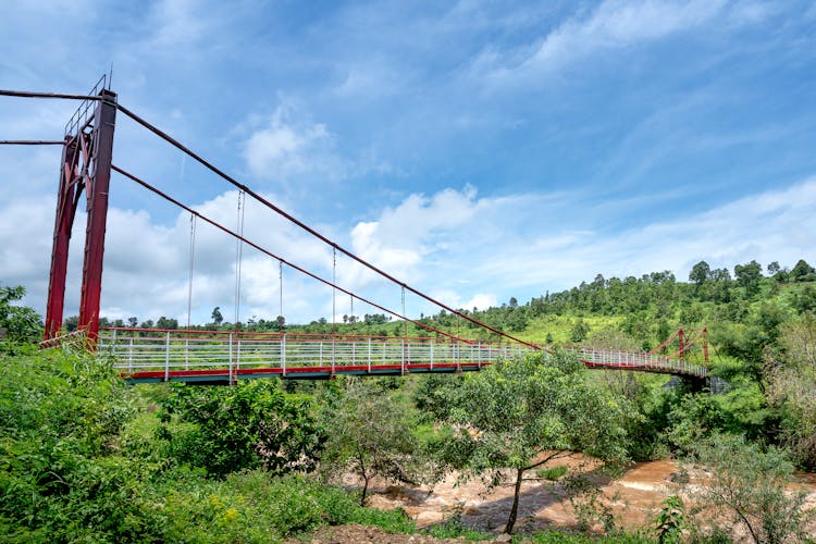 Suspension Bridge Over Forest With Stream