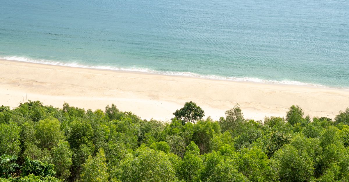 Impact du Tourisme de Masse sur les Sites Naturels