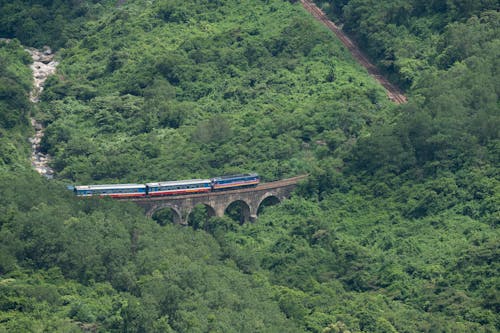 Aerial modern train going on massive arched viaduct through abundant lush forest in daylight