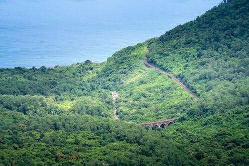 Scenic view of roadway among lush trees growing on mount against rippled sea in daylight