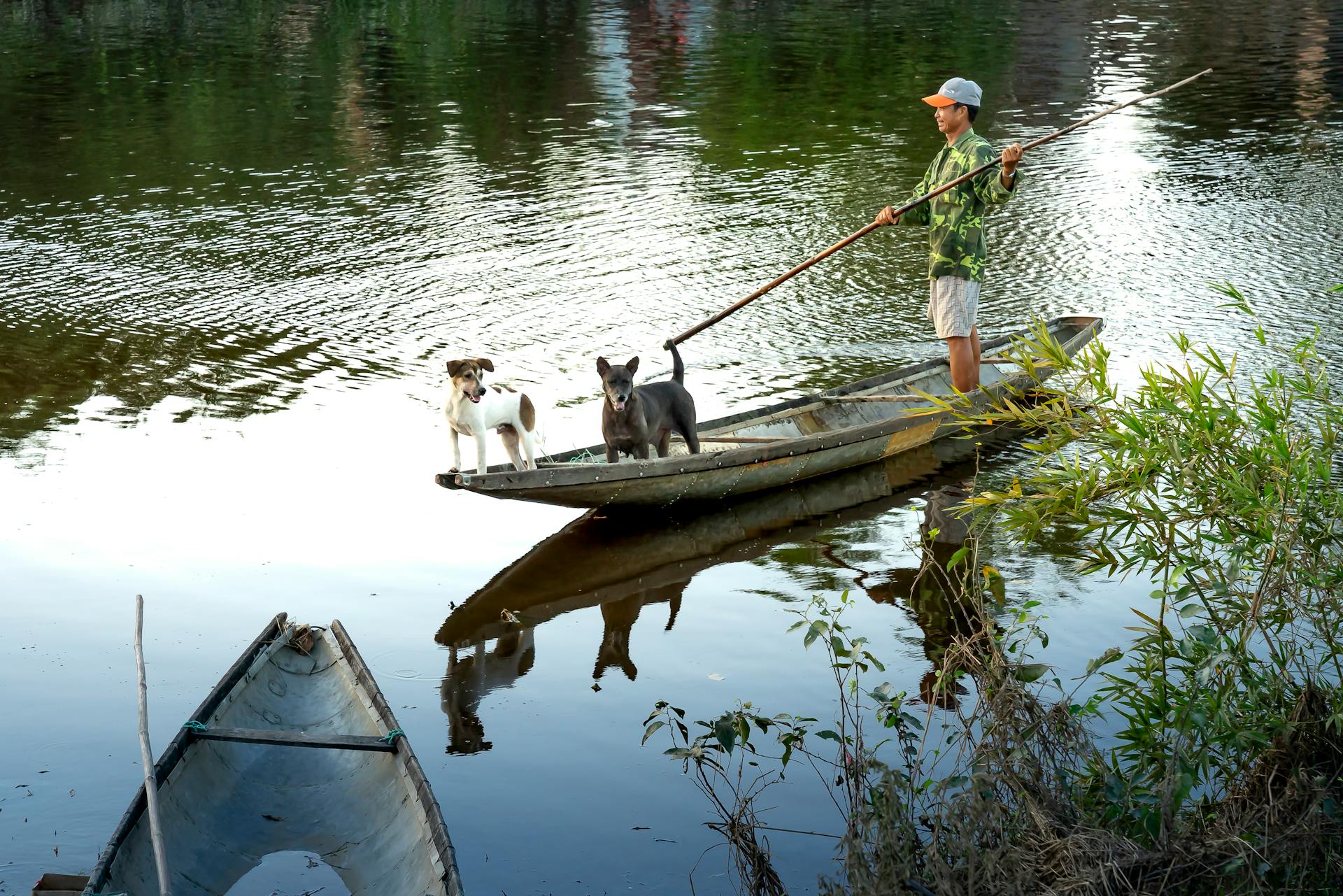 Asian man with purebred dogs in boat on river