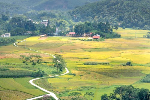 Village against agricultural fields and wavy road
