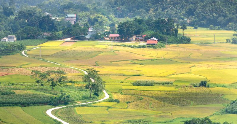 Itinéraire au Vietnam : construire un circuit qui tient la route