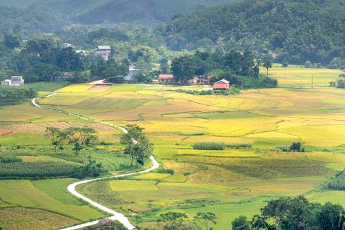 Free Scenic view of curved roadway between green plantations with trees against mount and houses in countryside Stock Photo