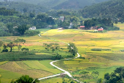 Free Scenic view of wavy roadway between green plantations and trees against village on highland in summer Stock Photo