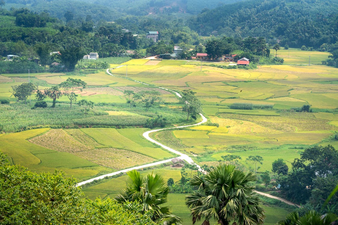 Agricultural field with road against mountain and houses