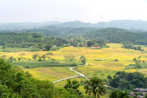 Agricultural fields with tropical trees and curved road against mounts
