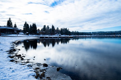 Бесплатное стоковое фото с авантюрист, берег озера, зима