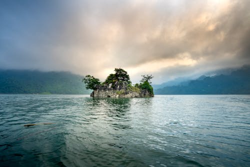 Trees on rocky island in sea against mountains in mist