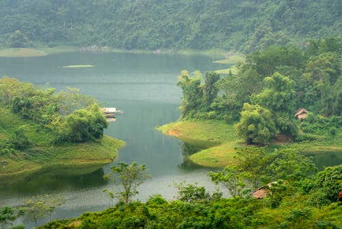 Scenic view of rippled river against lush green trees growing on mount in daytime