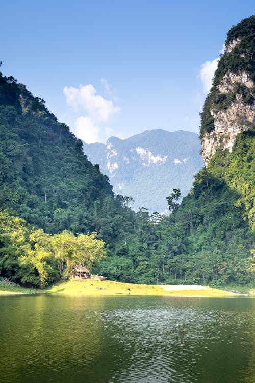 Cliffs with trees against river under cloudy sky