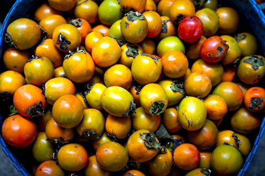 Pile of fresh persimmons in container on sunny day