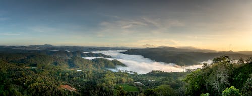 Amazing scenery of lush green woods growing in mountainous valley with peakes hidden under fluffy clouds at sunset