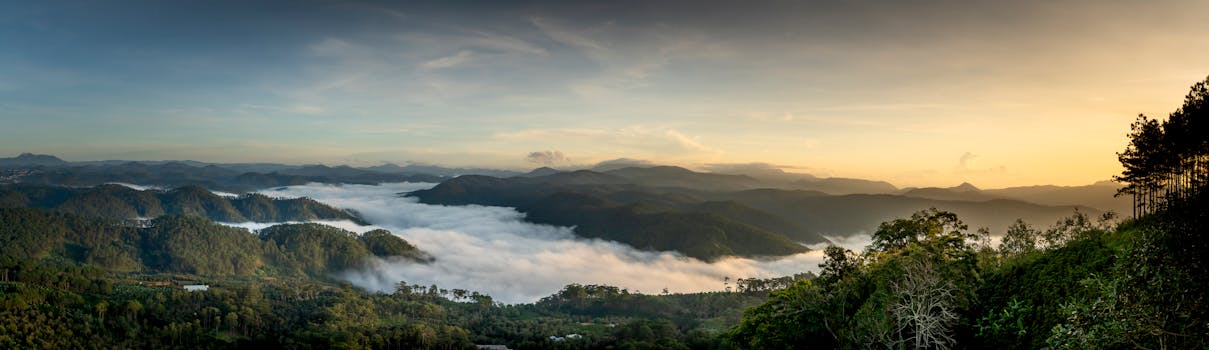 Breathtaking panoramic landscape of mountains covered with lush green trees in wild valley against sunset sky