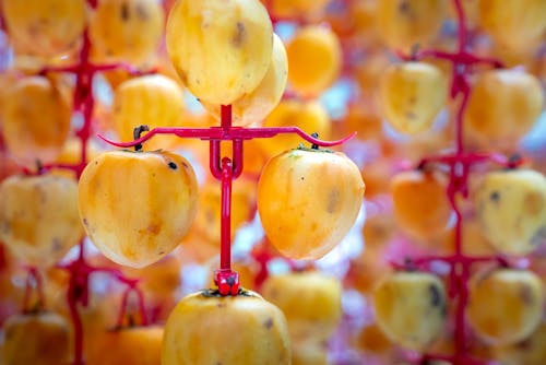 Ripe sweet Japanese persimmons hanging from metal hooks and sun drying during production of Hoshigaki